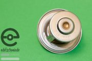 71°C Einspritzer Tropenthermostat / Thermostat incl....